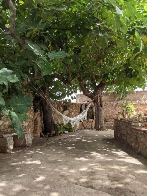 Casa Rural Frente Al Mar La Toscana Les Cases d'Alcanar Dış mekan fotoğraf